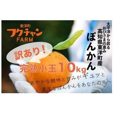 高知県東洋町産　訳あり完熟小玉ぽんかん10kg