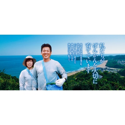 高知県東洋町産　訳あり完熟小玉ぽんかん10kg