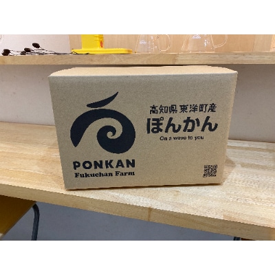 高知県東洋町産　訳あり完熟小玉ぽんかん10kg