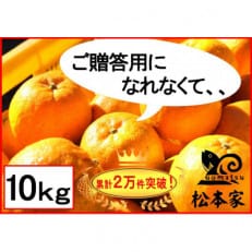 訳アリポンカン 10kg