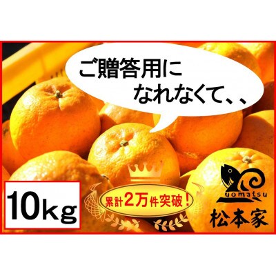 訳アリポンカン　10kg