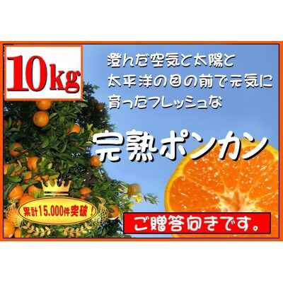 完熟ポンカン　10kg