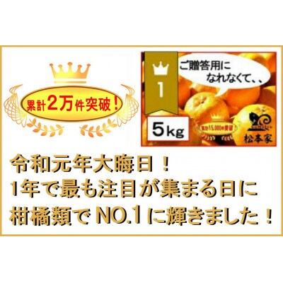 完熟ポンカン　10kg