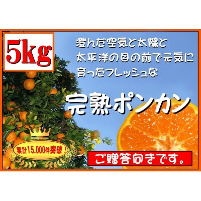 完熟ポンカン　5kg