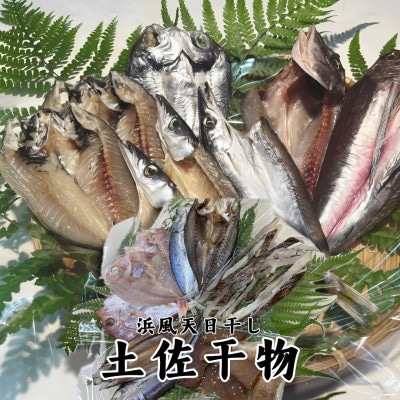 冷蔵発送!天日干し手作り干物詰め合わせ地魚セット 10パック　期間限定品