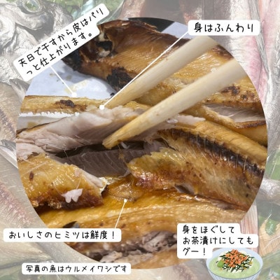 冷蔵発送!天日干し手作り干物詰め合わせ地魚セット 10パック　期間限定品