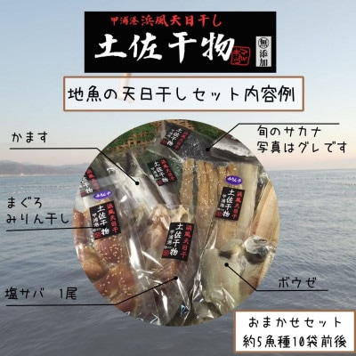 冷蔵発送!天日干し手作り干物詰め合わせ地魚セット 10パック　期間限定品