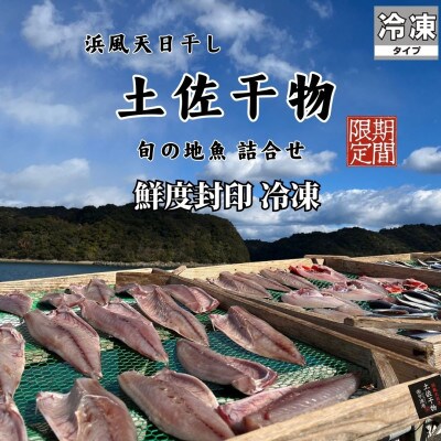 鮮度封印!冷凍 天日干し手作り干物詰め合わせ地魚セット 10袋入り　