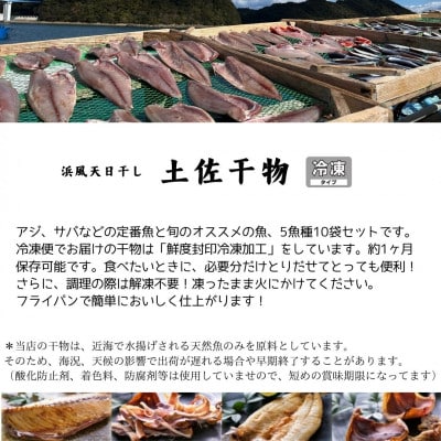 鮮度封印!冷凍 天日干し手作り干物詰め合わせ地魚セット 10袋入り　