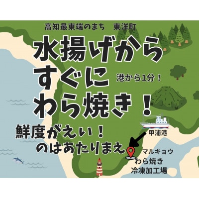 特別にイイかつおを選別!高知直送かつおのわら焼きたたき 1尾まるごと