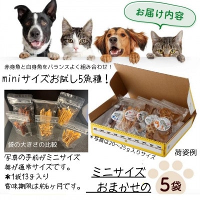 高知の魚100%魚のおやつ わんにゃんペットフード ミニサイズ 5種アソート 犬用猫用おやつ