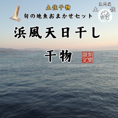 天日干し 土佐干物 旬の地魚12尾セット 期間限定!