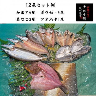 天日干し 土佐干物 旬の地魚12尾セット 期間限定!