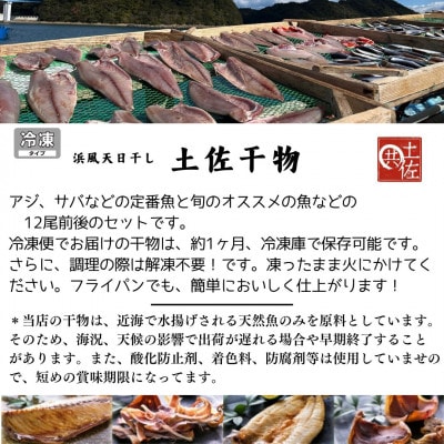 天日干し 土佐干物 旬の地魚12尾セット 期間限定!
