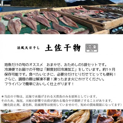 おためし土佐干物旬の地魚おまかせセット