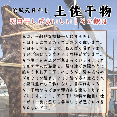 天日干し 土佐干物 旬の地魚12尾セット 期間限定!