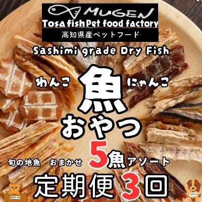 【毎月定期便】高知の魚100%魚のおやつわんにゃんペットフード旬の5種アソート 犬猫用おやつ全3回