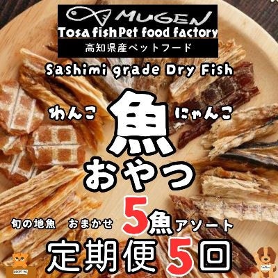【毎月定期便】高知の魚100%魚のおやつわんにゃんペットフードおまかせ5種アソート犬猫用おやつ全5回