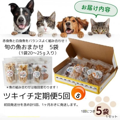 【毎月定期便】高知の魚100%魚のおやつわんにゃんペットフードおまかせ5種アソート犬猫用おやつ全5回
