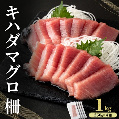 キハダマグロ 柵 1kg