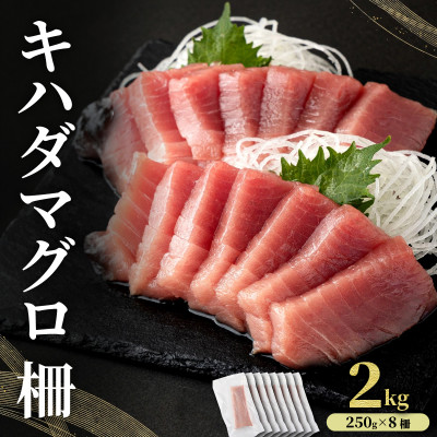 キハダマグロ 柵 2kg