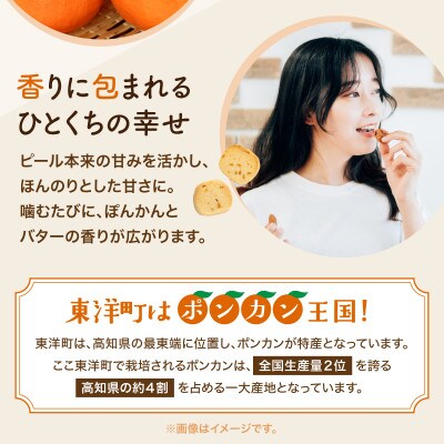 ぽんかんクッキー 175g(35g×5個)