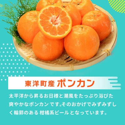 ぽんかんビール 330ml×3本