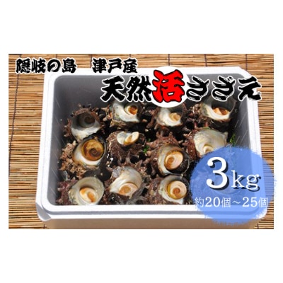 隠岐の島津戸産天然活さざえ3kg　1402