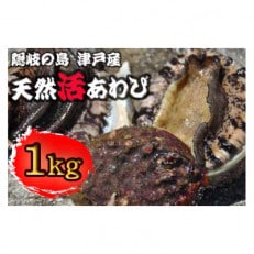 天然活あわび【隠岐の島津戸産】1kg 1407