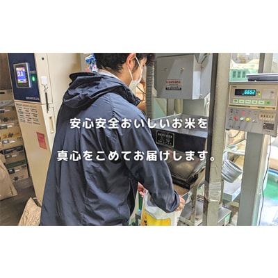 【令和5年産】隠岐産こしひかり10Kg(5Kg×2袋)　1701