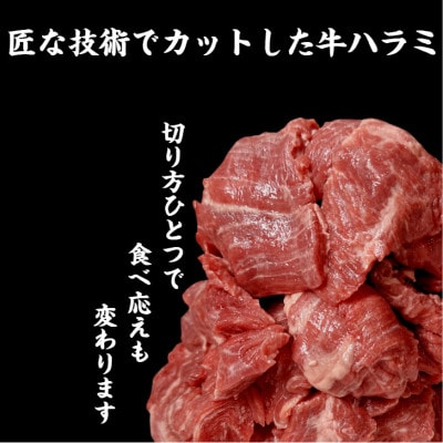 【厳選】牛ハラミ肉　特製焼き肉タレ　1.0kg(500g×2パック)