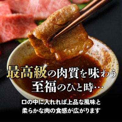 【毎月定期便】【焼肉食べ比べ3種】仙台牛ザブトン・トモサンカク・マルシン　100g×各1パック全4回