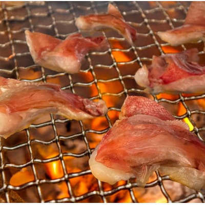 訳あり きんきカマ　深層海塩仕込み(300g)×8パック