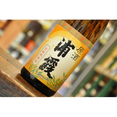 浦霞　生一本・原酒セット(720ml×各1本)
