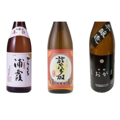 酒の本流・辛口3本セット