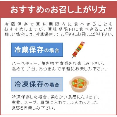 【バーベキューやお弁当で大活躍】宮城名産の仙台味噌使用製品入り　手軽に食べられる　さつま揚げ詰合せ