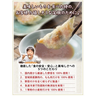 こだわり本格生餃子80個(16人前)　