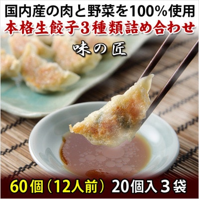 本格生餃子3種類詰め合わせ60個(12人前)　