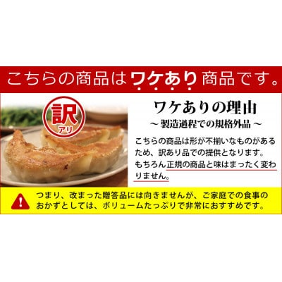 【訳あり品】こだわり本格生餃子50個(10人前)