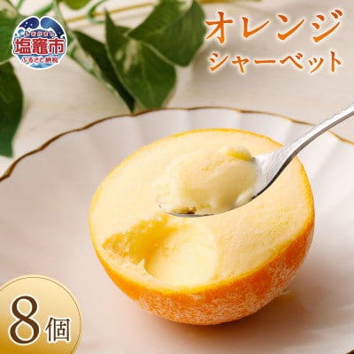 【メディアで多数紹介!】オレンジシャーベット8個入