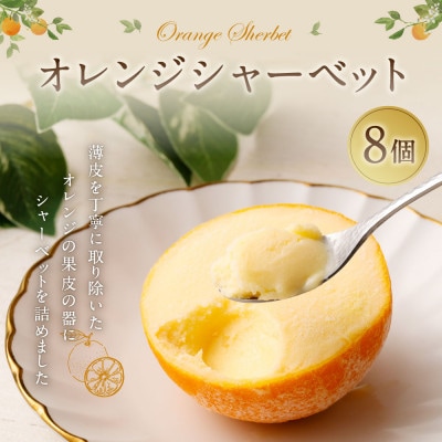 【メディアで多数紹介!】オレンジシャーベット8個入