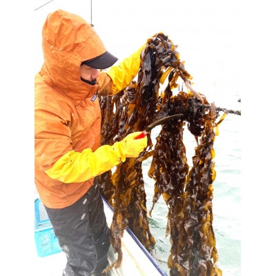 おさしみぎばさ　(和名:アカモク)　宮城県三陸産　100g×4パック　4人前　漁師赤間