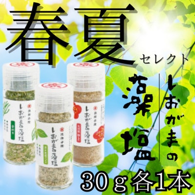 しおがまの藻塩　春夏セレクト　3種　30g各1本　香り塩(青のり・梅しそ・バジル)　無香料　無着色