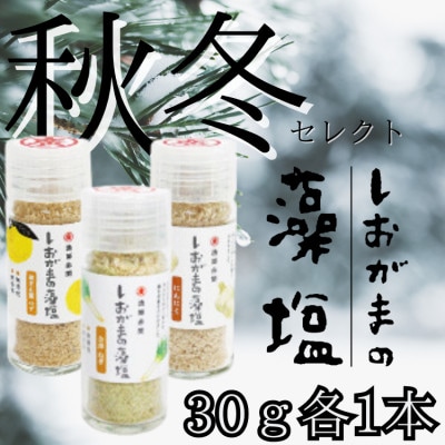 しおがまの藻塩　秋冬セレクト　3種　30g各1本　香り塩(ゆず・にんにく・ねぎ)　無香料　無着色