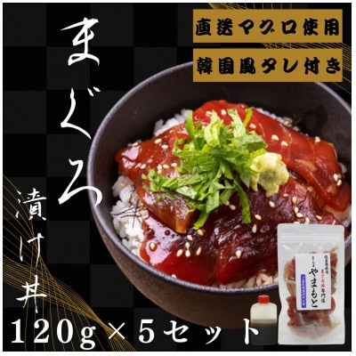 【直送マグロ使用】まぐろパック　特製韓国風タレ付き　120g×5パック