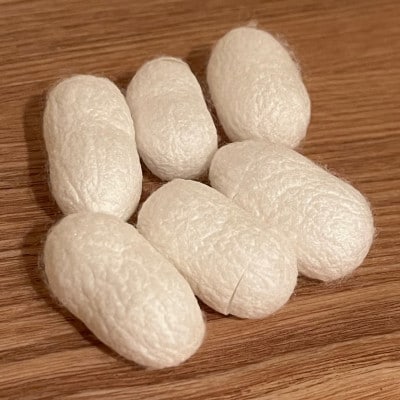 【まゆ玉】洗顔ケア・シルク化粧品が作れます<自然安全素材>防腐剤なしで作れます!