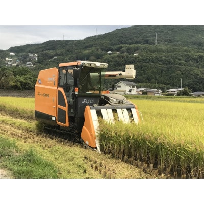 令和7年産　美馬市コシヒカリ精米3kg