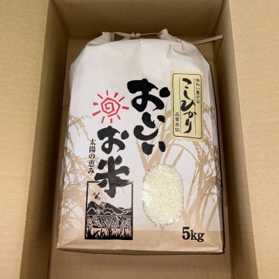 令和7年産　美馬市コシヒカリ精米5kg