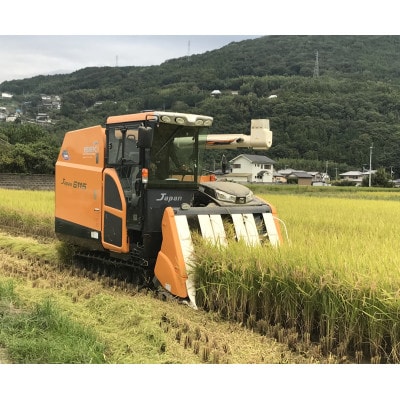 令和7年産　美馬市コシヒカリ精米5kg