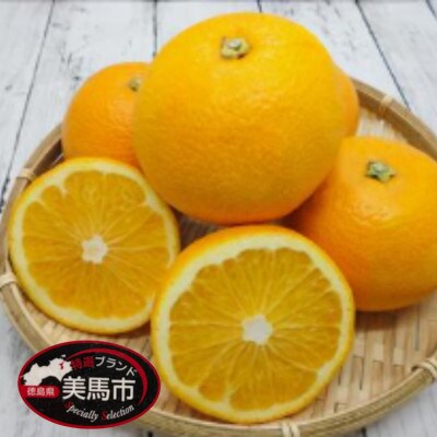 < 先行予約 >  はっさく 約3kg 7個 《2025年2月上旬‐2025月3月上旬頃順次出荷》